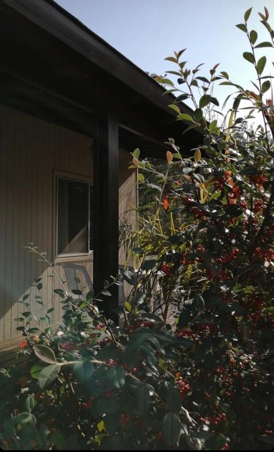 صوص دي بورتيزولو Cabanas Del Este المظهر الخارجي الصورة